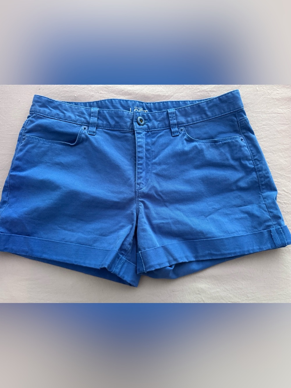 LOFT Cobalt Blue Women’s Chino Cuffed Hem Shorts Size 8 Cute Coastal Y2K July 4 - Picture 3 of 8